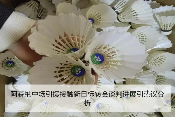 阿森纳中场引援接触新目标转会谈判进展引热议分析 - kaiyun